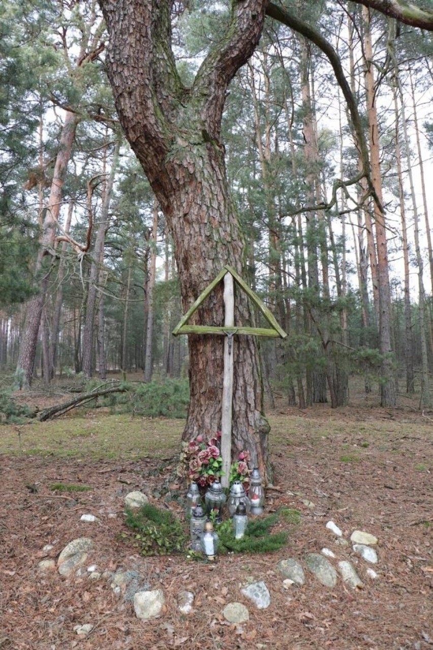 Gmina Blizanów. Uczczono pamięć powstańca w Piskorach