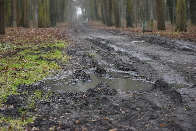 Nasz Czytelnik ma uwagi m.in. do stanu drogi parkowej między ul. Łąkową a Sportową.