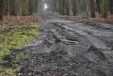 Mieszkaniec skarży się na stan dróg w parku w Malborku. Decyzja o ewentualnych naprawach dopiero po przeglądzie technicznym