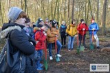 Uczniowie posadzili blisko tysiąc dębów. W tym roku w naszych lasach ma być pół miliona młodych drzew.