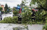 Silnie wieje w Kujawsko-Pomorskiem. Straż pożarna interweniowała w Bydgoszczy [ostrzeżenia IMGW]