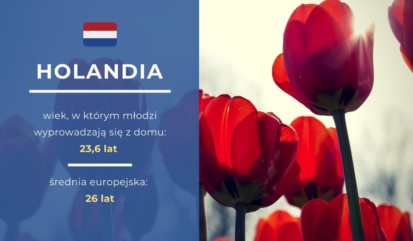 Włoch mieszka z mamą 30 lat. Polacy to też maminsynki?