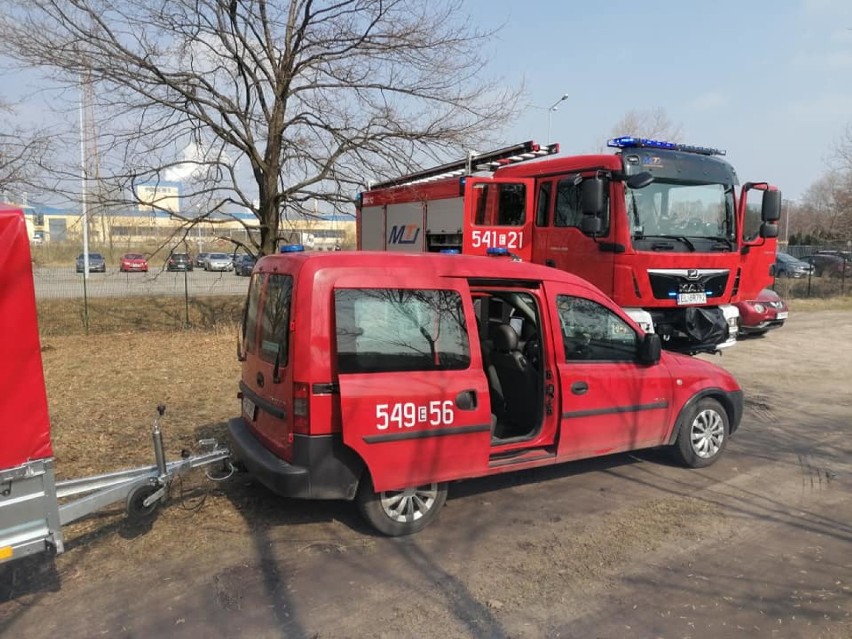 Tomaszowscy strażacy pomagali rannej sarnie znalezionej w okolicy ul. Milenijnej [ZDJĘCIA]
