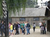 Oświęcim. Muzeum Auschwitz będzie znów dostępne dla odwiedzających przez cały tydzień. Obowiązywać będzie wcześniejsza rezerwacja [ZDJĘCIA]