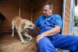 Zaginął pies adoptowany ze schroniska w Łodzi. 5 tys. zł nagrody za odnalezienie psa Reksia