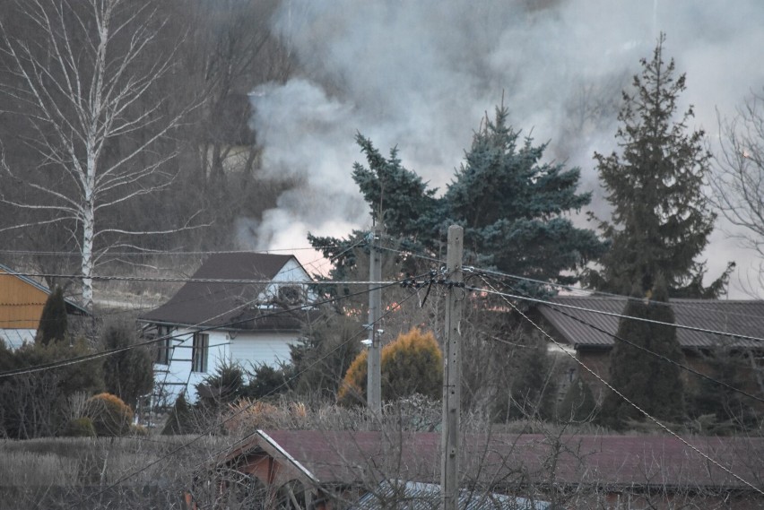 Płonące suche trawy na wale Ropy, w sąsiedztwie ogródków...