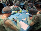 Studenci medycyny z Zielonej Góry wicemistrzami Polski w szyciu chirurgicznym. Co się działo na mistrzostwach? 