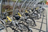 Będzie miejski rower publiczny w Tomaszowie Maz. Trwa opracowywanie koncepcji
