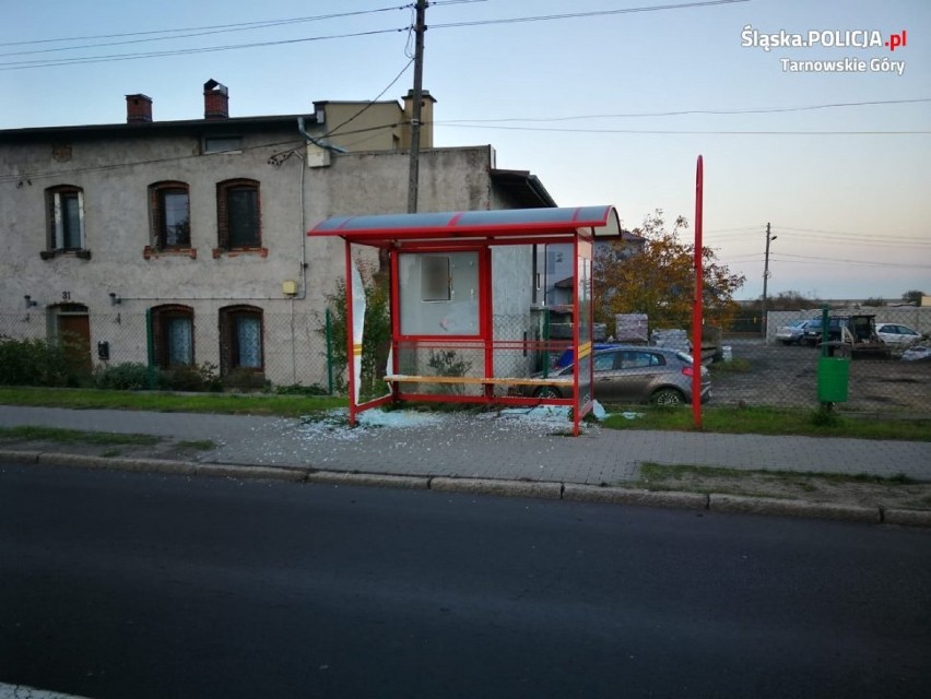 Kto zniszczył przystanki autobusowe w gm. Zbrosławice? Wyznaczono nagrodę!