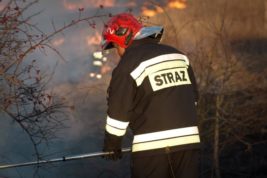Straż pożarna, Warszawa. Strażacy-rekordziści otrzymali wyróżnienie za udział w akcjach