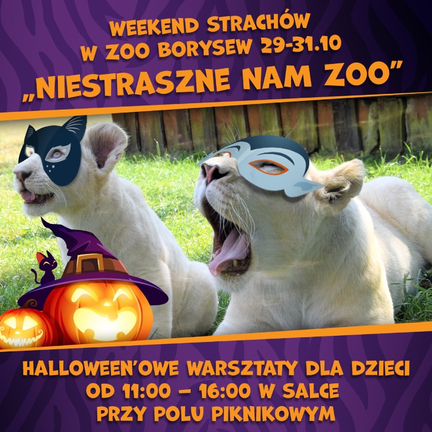 Halloween w Zoo Borysew. Darmowe wejście dla dzieci w wieku do 15 lat w przebraniu, wiele atrakcji FOTO