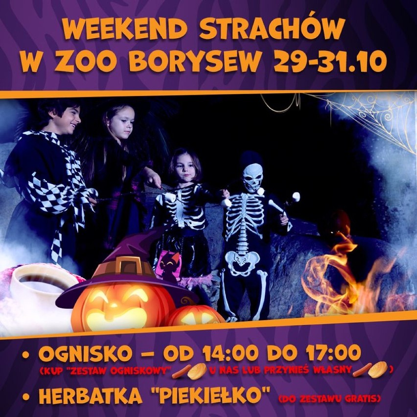 Halloween w Zoo Borysew. Darmowe wejście dla dzieci w wieku do 15 lat w przebraniu, wiele atrakcji FOTO