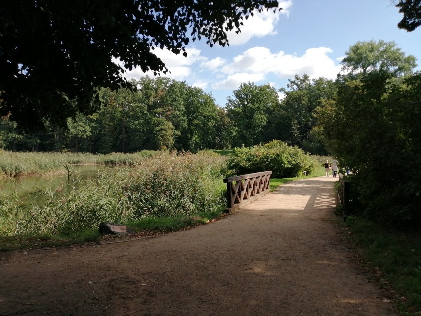 Park-arboretum w Gołuchowie