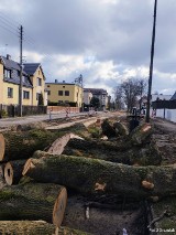 Lubliniec. Remont ulicy Plebiscytowej wiąże się też z wycinką drzew. Mieszkaniec alarmuje, że ludzie będą się teraz "smażyć" w upalne dni