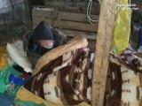 Policjanci z Pszowa uratowali bezdomnego. Mężczyzna o mało nie zamarzł w kilkunastostopniowym mrozie. Zareagowali dzielnicowi 