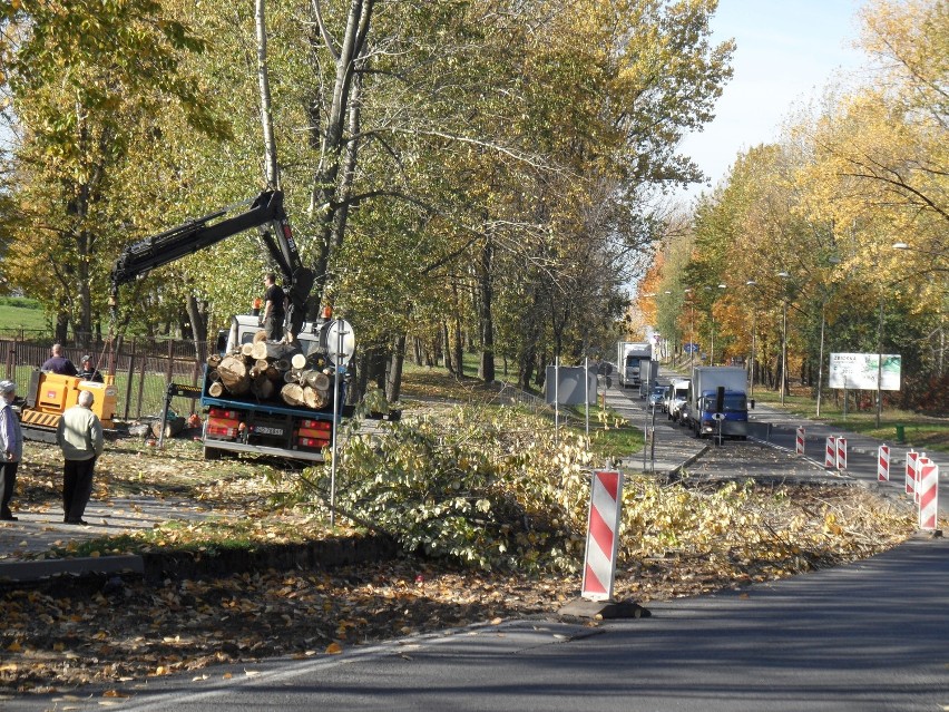 KRÓTKO: Budowa ronda na ul. Katowickiej: drzewa wycięte, dziś rozpoczną się roboty ziemne