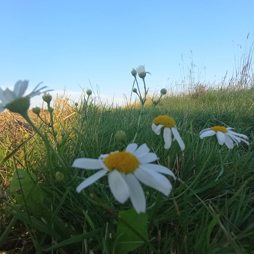 Prace nagrodzone i wyróżnione w XVI Konkursie Fotograficznym...