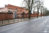 Poznań: Chronią kasztanowce - mniej miejsc parkingowych na Wojskowej [ZDJĘCIA]