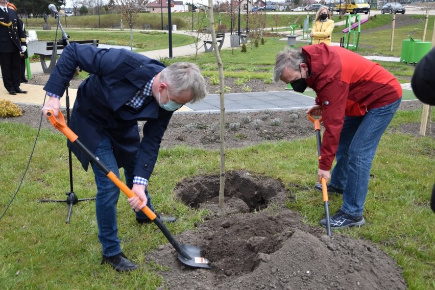 Rocznica uchwalenia Konstytucji 3 Maja 2021. W Luzinie posadzono Drzewa Wolności |ZDJĘCIA