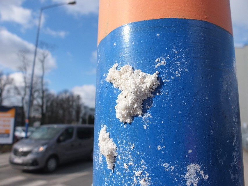 Sól na ulicach Opola.