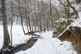 Dolina Będkowska znów w śnieżnej szacie. Ostatnie tchnienie zimy? [GALERIA]