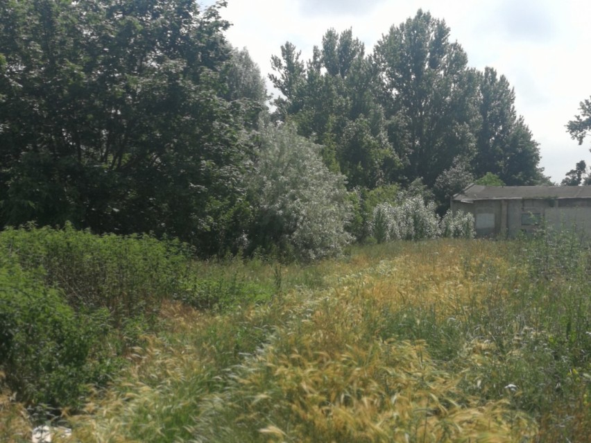 Tereny po Stelli. Miasto chce je sprzedać pod budowę bloku wielorodzinnego