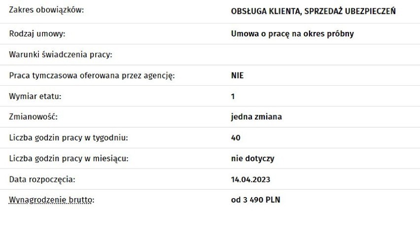 Zobacz zakres obowiązków i proponowane zarobki