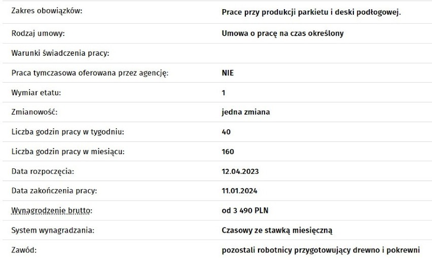 Zobacz zakres obowiązków i proponowane zarobki