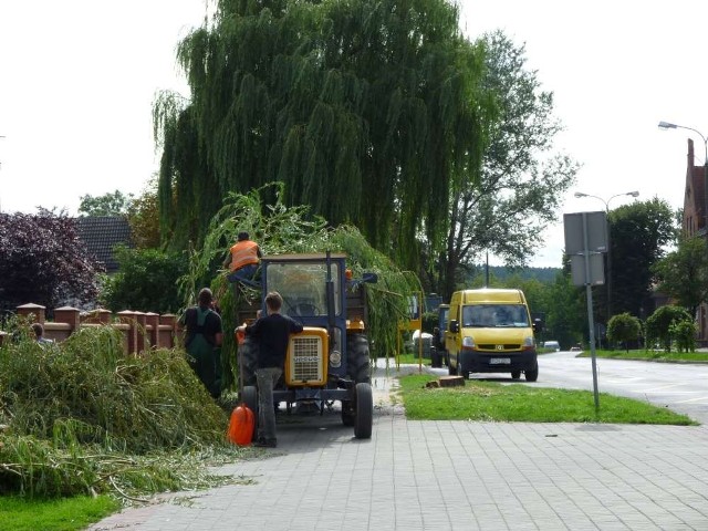 Prace przygotowawcze do remontu, obejmują m.in. wycinkę drzew