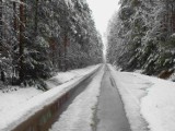 Znów urokliwe, zimowe widoki w starachowickich lasach i w mieście. Zobacz zdjęcia