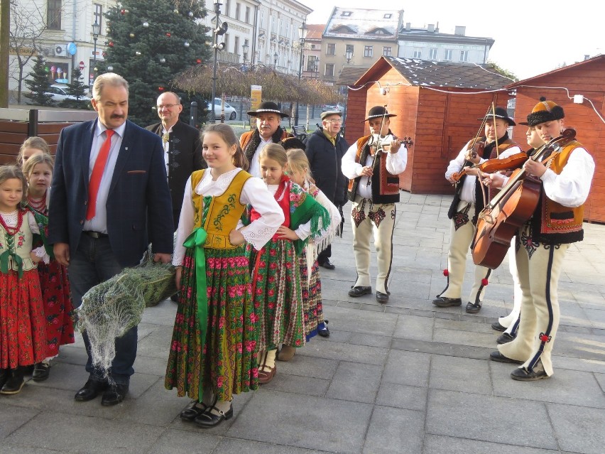 Choinkę delegacja górali wniosła do papieskiego muzeum a...