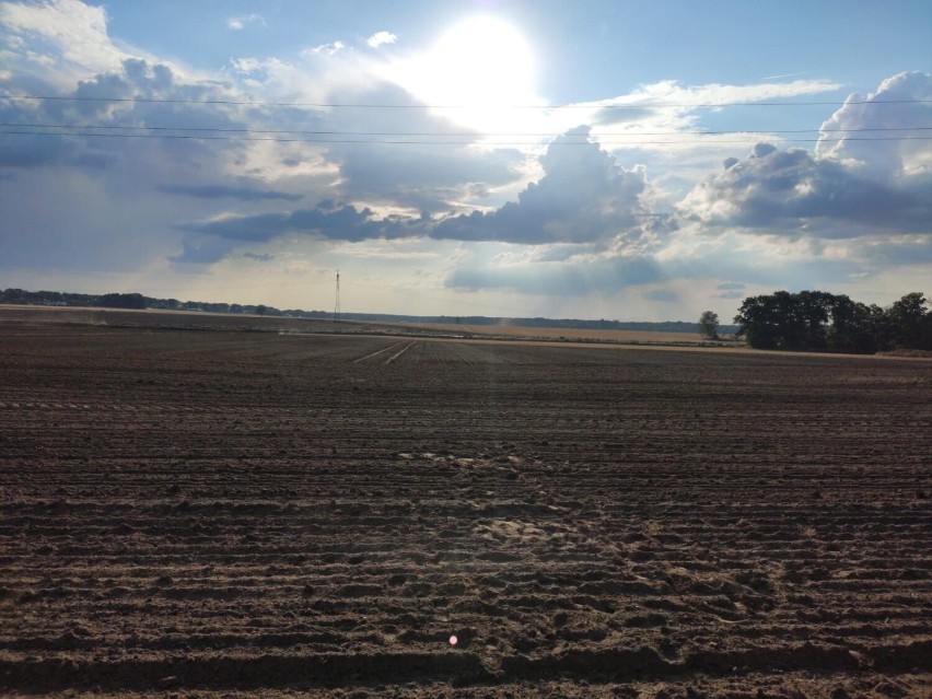 Pożar ścierniska pod Goleniowem. 17 hektarów w ogniu