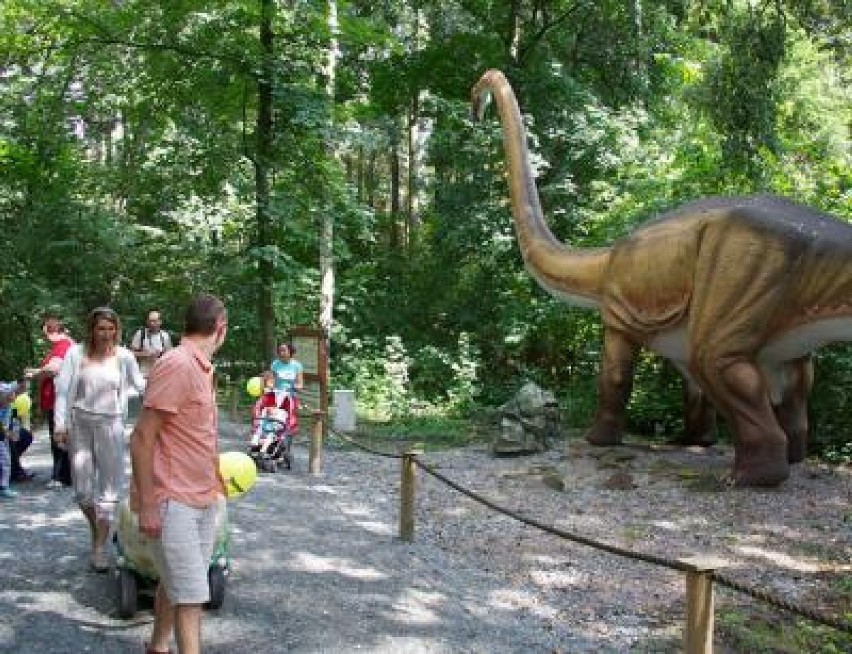 Dinopark Malbork- moc atrakcji!