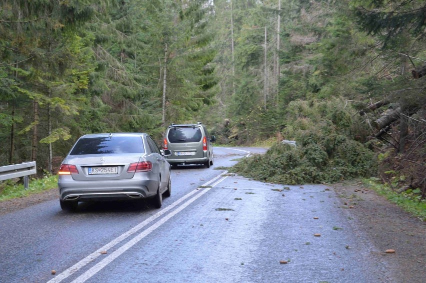 Zakopane. Halny daje się we znaki. Już 15 interwencji straży [ZDJĘCIA]