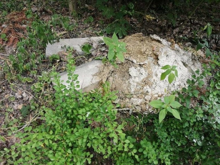 Nieporządek na terenie zielonogórskiej nekropolii