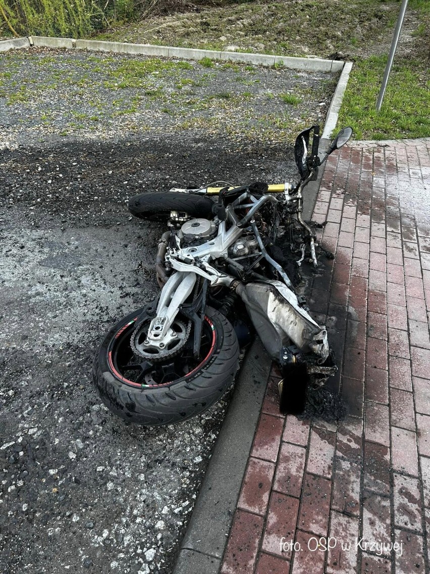 Śmiertelny wypadek motocyklisty w Krzywej. Kierowca na progu zwalniającym stracił panowanie nad motocyklem i uderzył w drzewo