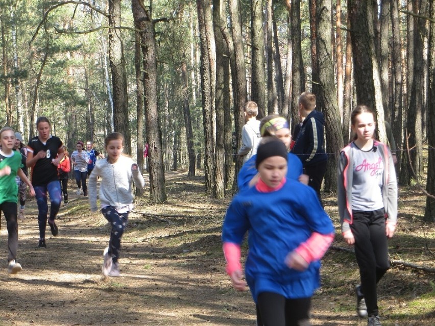 Gmina Blizanów. Uczniowie powiatu kaliskiego biegali w...