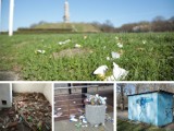 Muzeum II Wojny Światowej twierdzi, że teren Westerplatte jest zaniedbany i rozsyła zdjęcia [GALERIA]