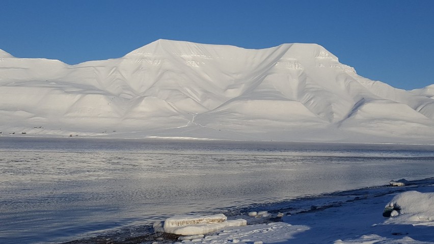 Dariusz Skolimowski ze Skowarcza to pierwszy Polak, który zimą zdobył samotnie Newtontoppen na Spitsbergenie [ROZMOWA, ZDJĘCIA]