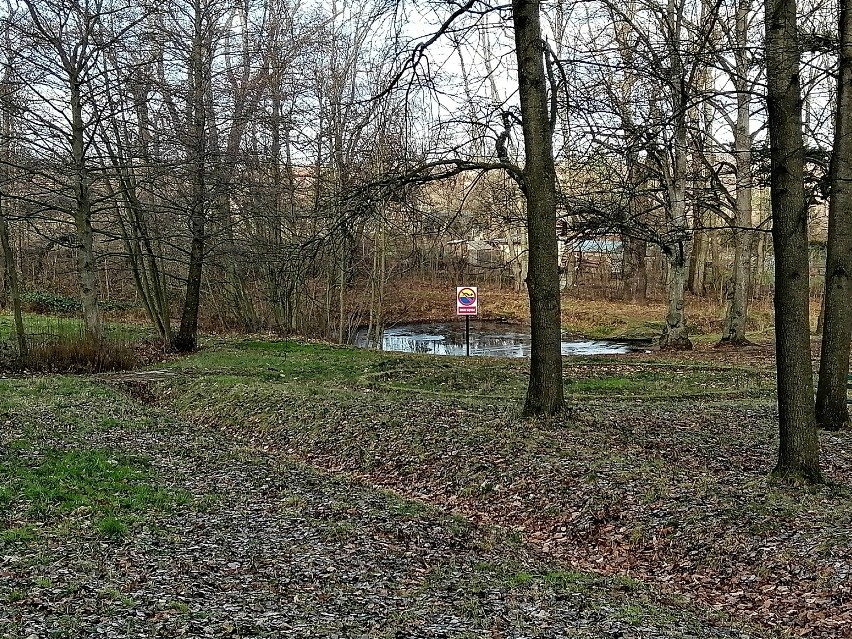 Wałbrzych: Styczniowy spacer po parku w dzielnicy Rusinowa [ZDJĘCIA]