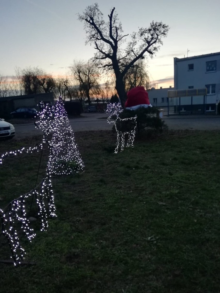 Jedlec przystroił się na Boże Narodzenie ZDJĘCIA