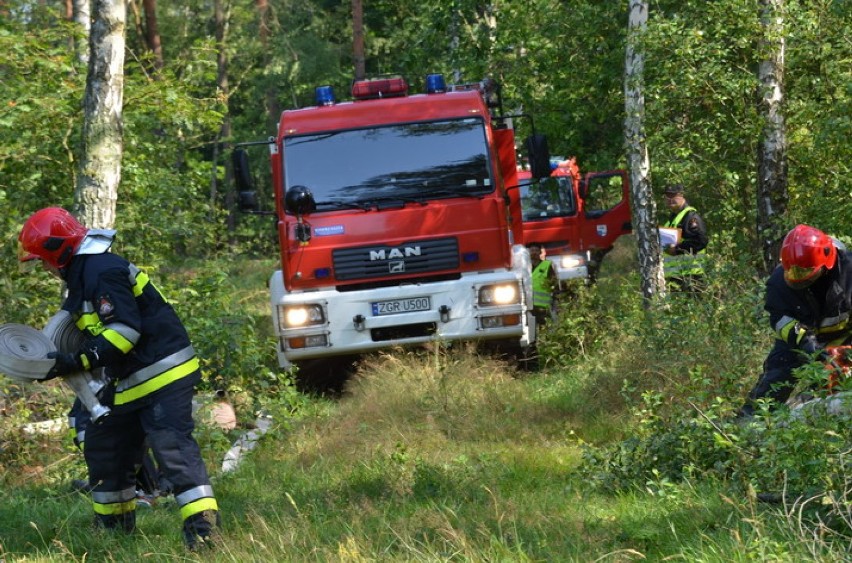 Ćwiczenia strażackie na terenach leśnych Leśnictwa Wełtyń...