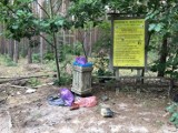 Śmieci w lesie na parkingu leśnym przy Ośrodku Wypoczynkowym w Mierzynie