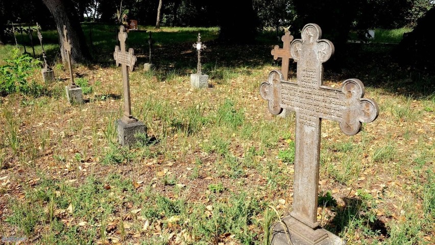 Lapidarium, pomnik z orłem w koronie, ścieżka rowerowa... Jan Balewski zaprasza na fotowycieczkę po Kobylance