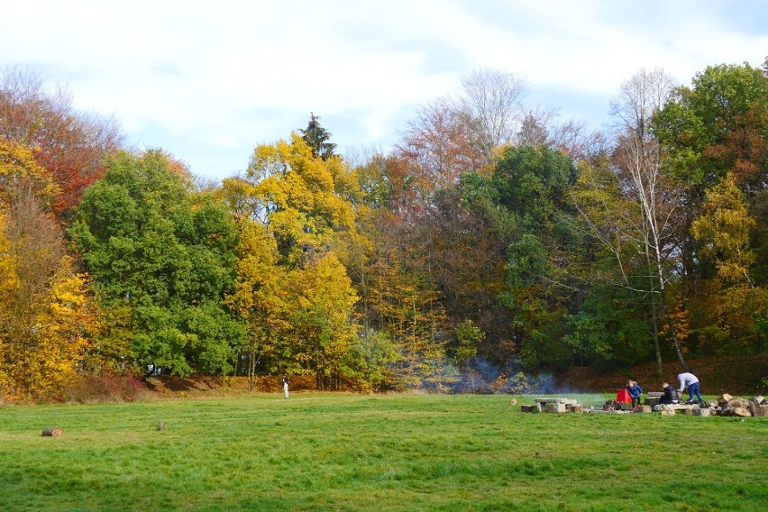 Złota jesień w Lasku Złotoryjskim w Legnicy