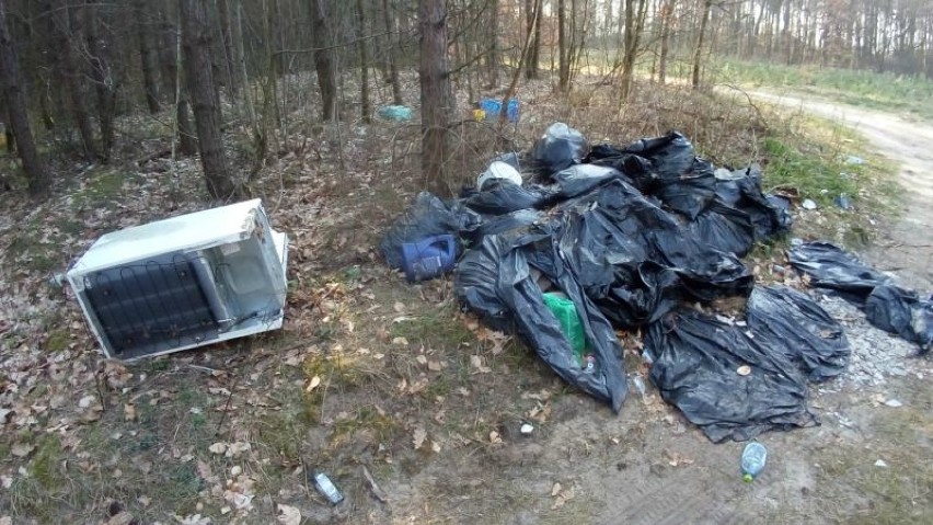 Dzikie wysypisko śmieci w Sztumskim Polu