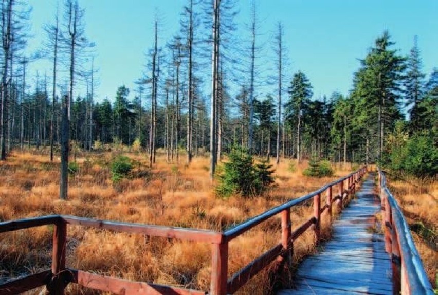 Położone jest na wysokości 845 m n.p.m. między Błędnymi...