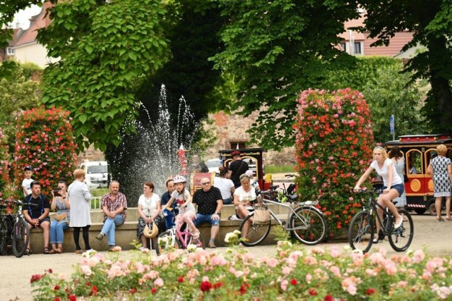 W najbliższy weekend w Żarach będzie można posłuchać dobrej muzyki w parku miejskim. Lato z Telemannem to stały cykl wakacyjnych spotkań z muzyką.