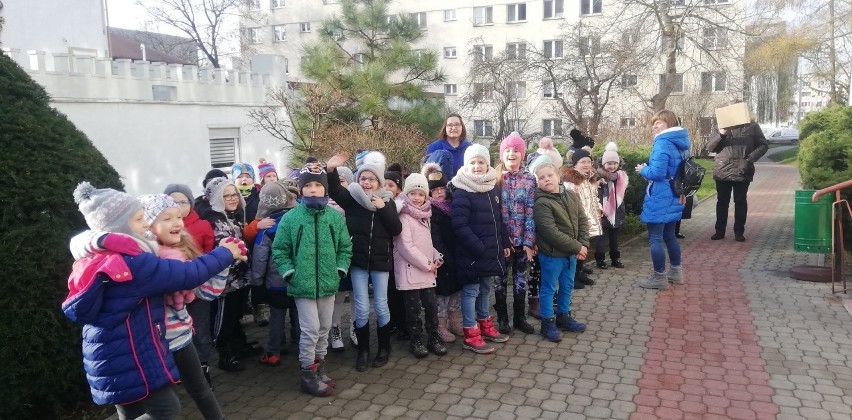 Kielecka Spółdzielnia Mieszkaniowa rozświetliła choinkę. Zobaczcie zdjęcia i wideo 