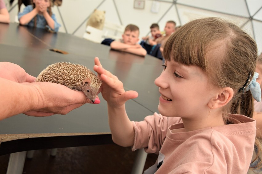 Zajęcia edukacyjne w Zoo Borysew koło Poddębic. Wielka atrakcja dla dzieci. Zobacz ZDJĘCIA